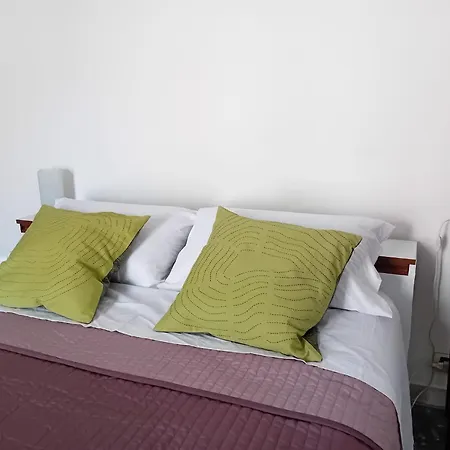 Appiolatino Il Geco *