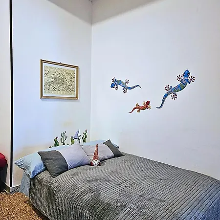 Appiolatino Il Geco *